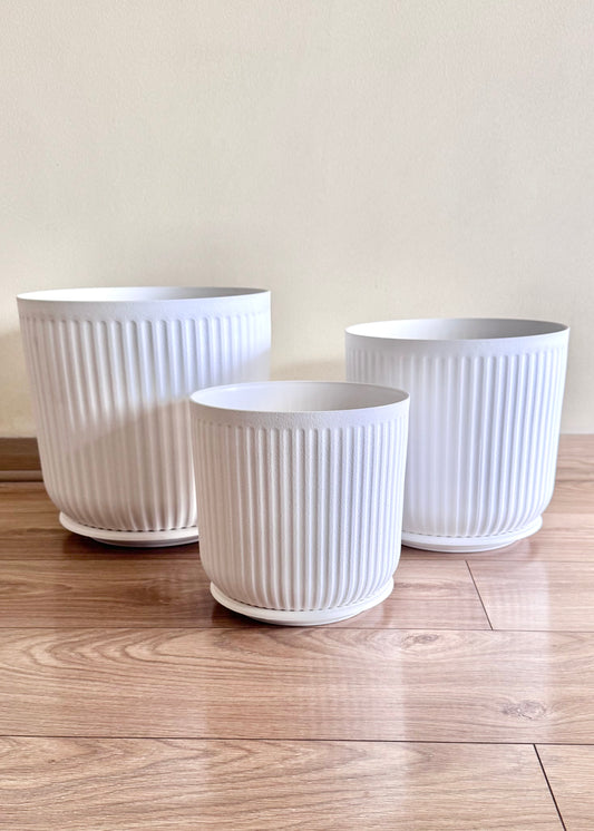 Macetero Líneo Blanco