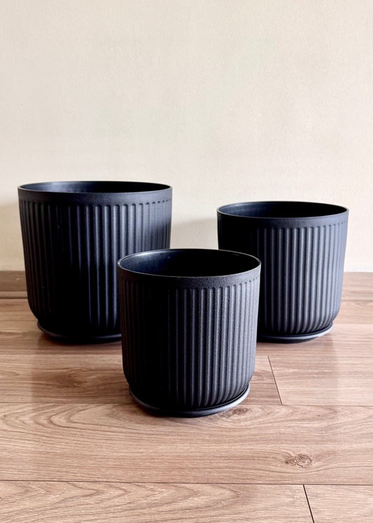 Macetero Líneo Negro
