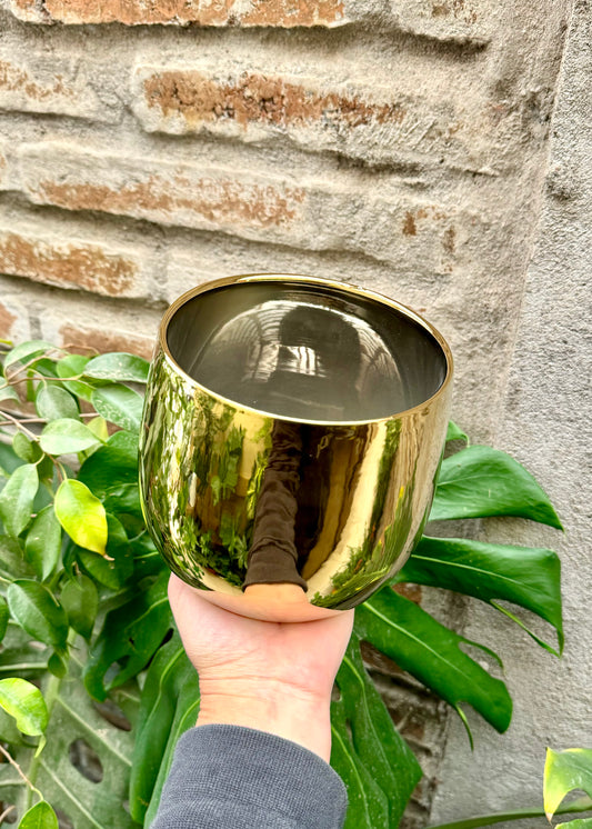 Porta macetero cerámica Dorado o Plateado