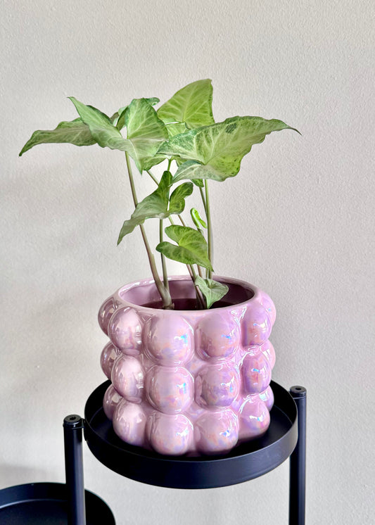 Porta Macetero Pinky
