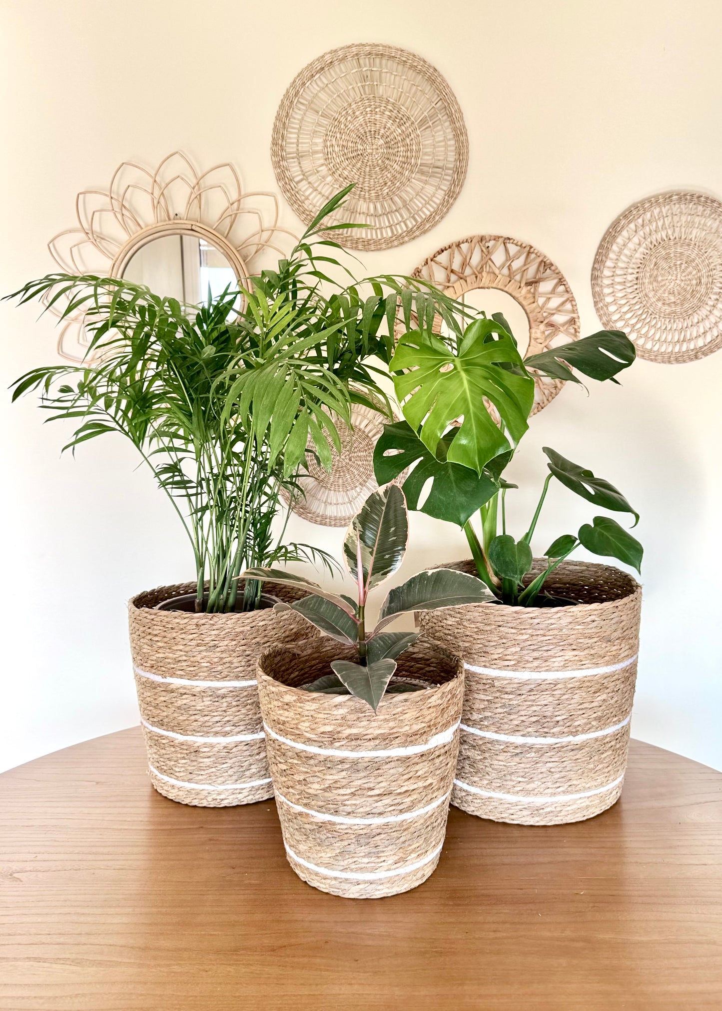 Canasto Natural Line