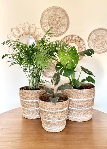 Canasto Natural Line