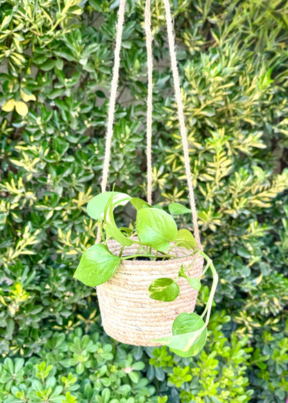 Canasto colgante Kora