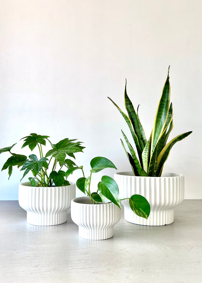 Macetero Acanalado blanco