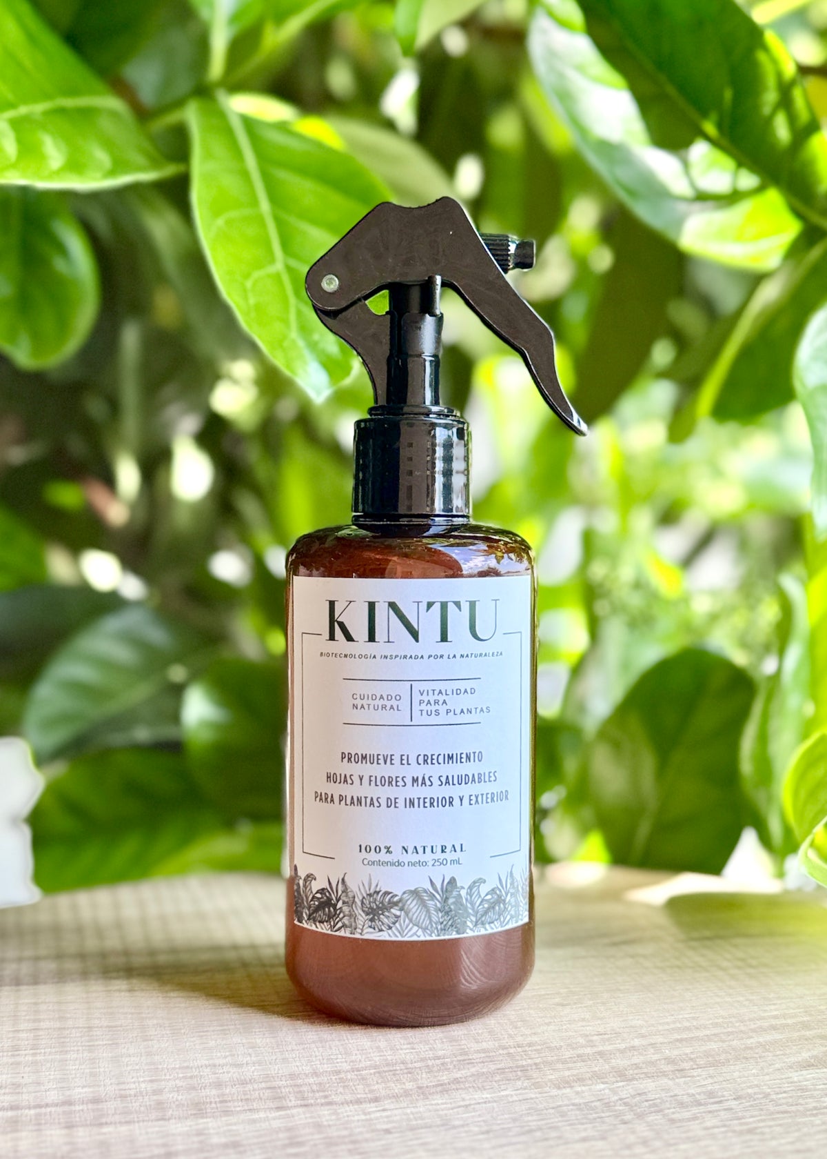 Kintu Bioestimulante Natural