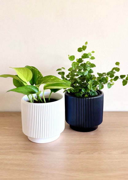 Macetero Lumi cerámica