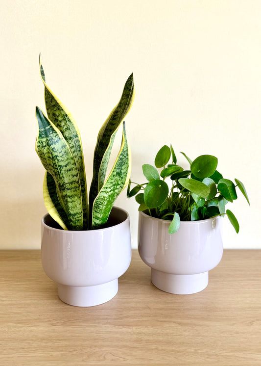 Macetero Nori cerámica