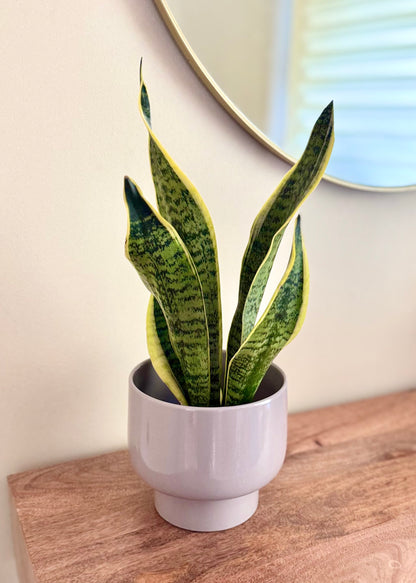 Macetero Nori cerámica