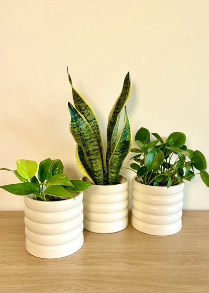 Macetero Wavy cerámica