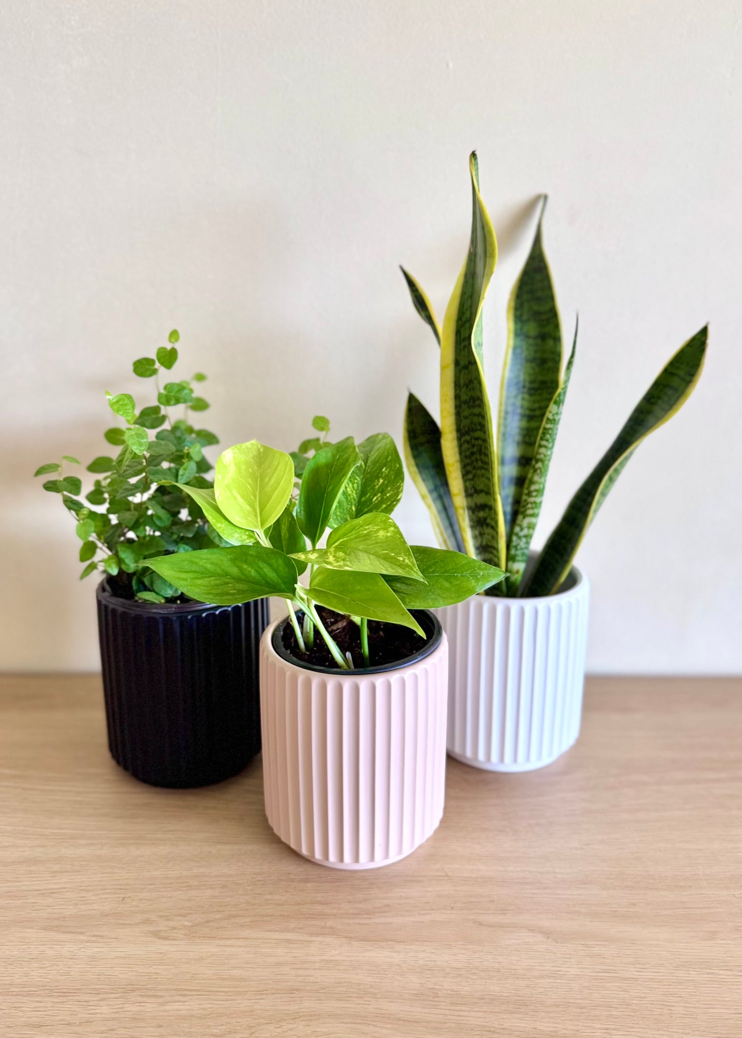 Macetero Nubi cerámica