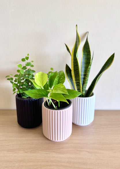 Macetero Nubi cerámica