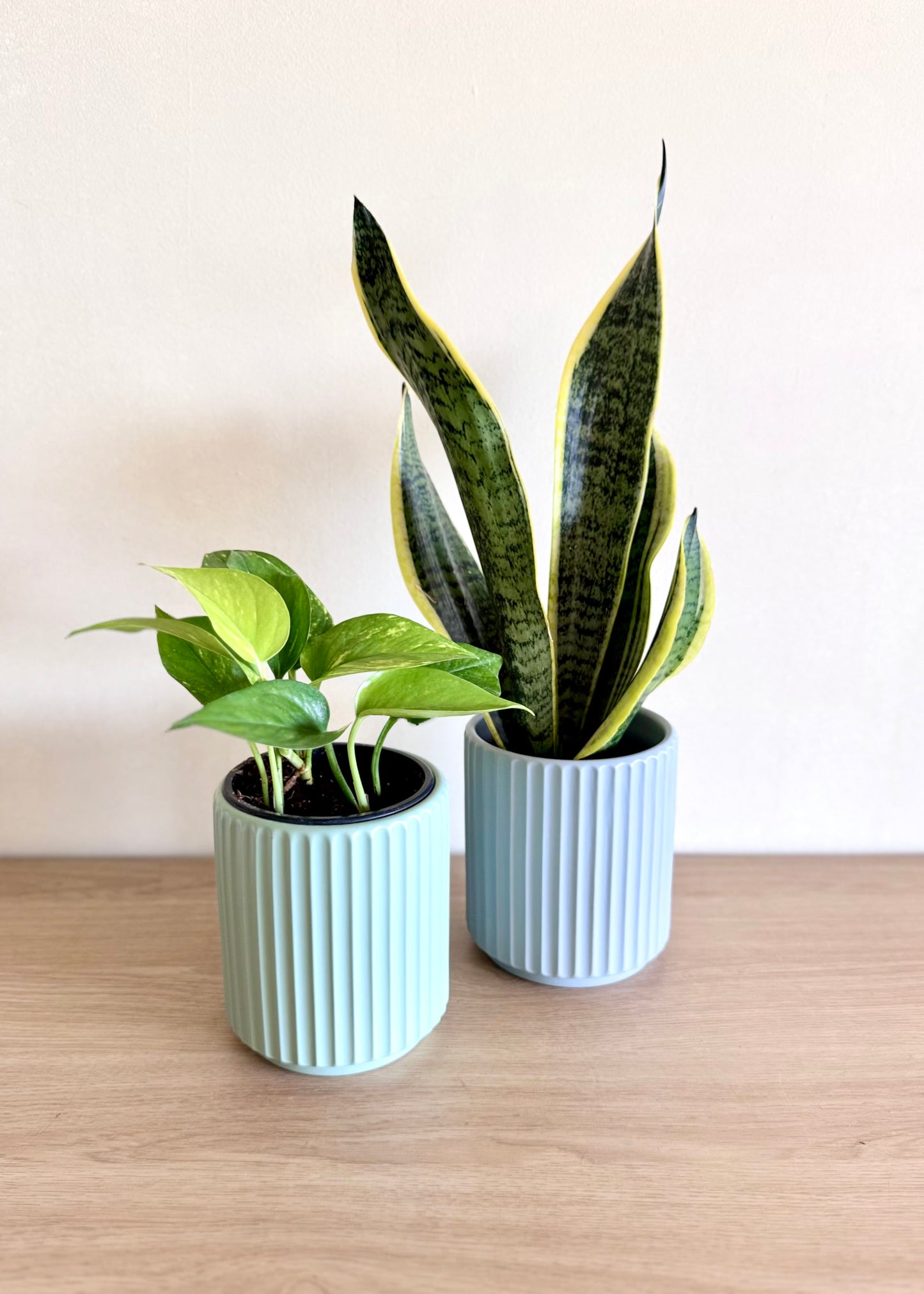 Macetero Nubi cerámica