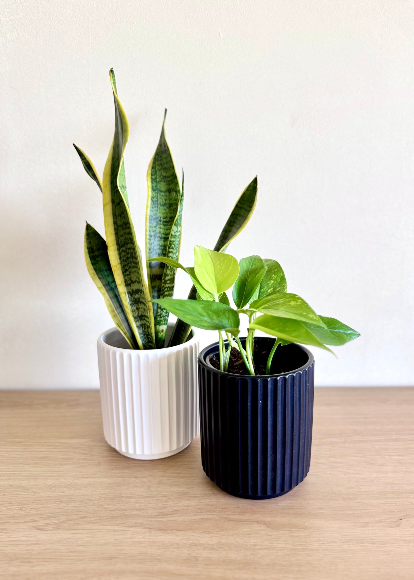 Macetero Nubi cerámica