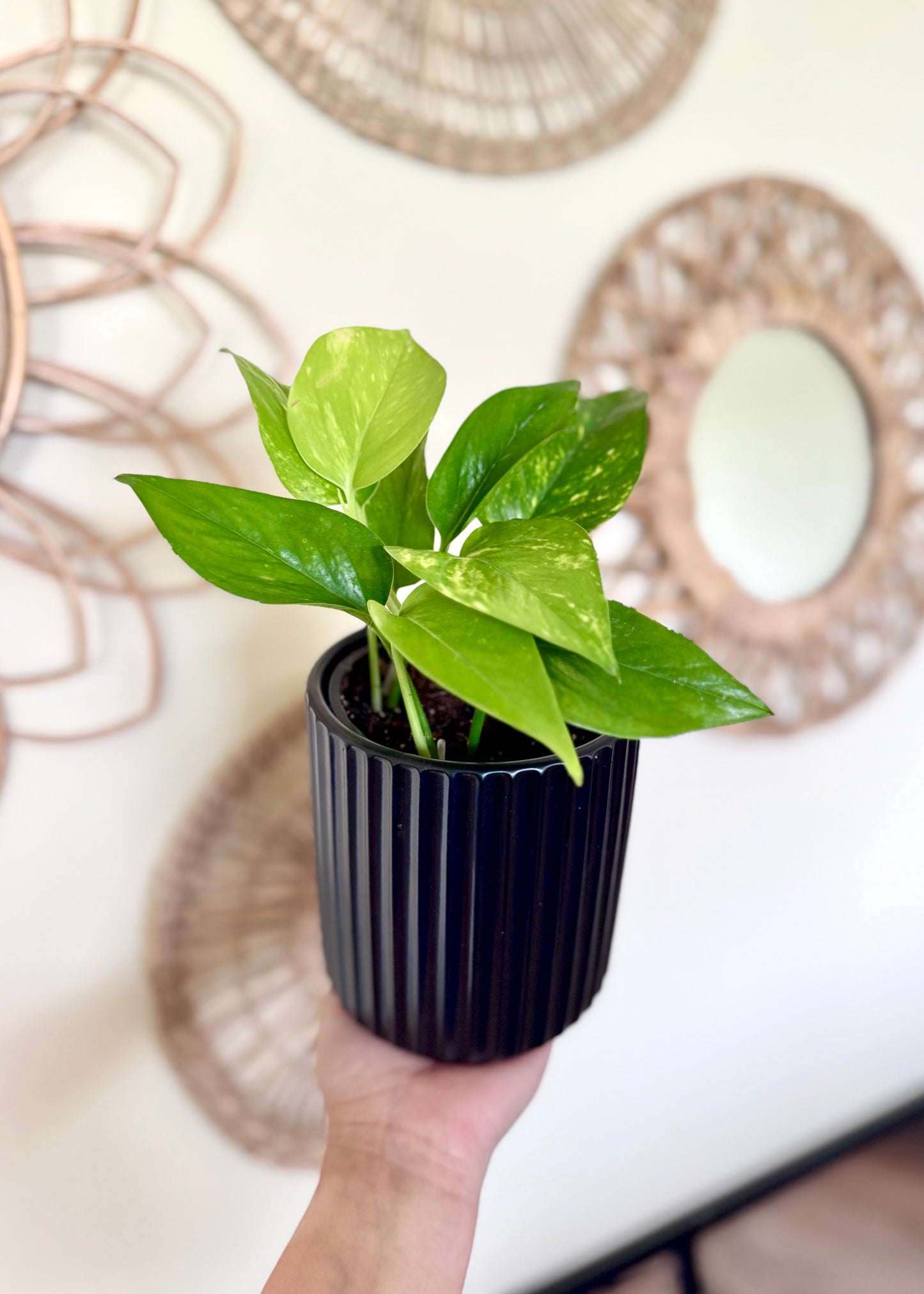 Macetero Nubi cerámica