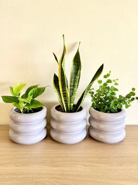 Macetero Loop cerámica